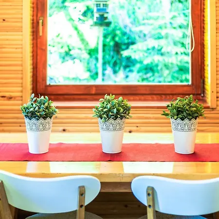 House Moose't Getaway, Holiday home