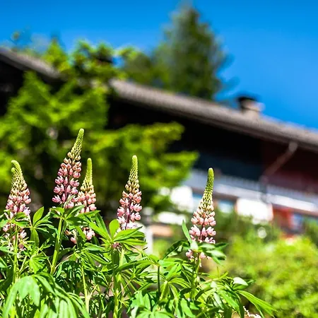 House Moose't Getaway, Tatil Evi Kranjska Gora