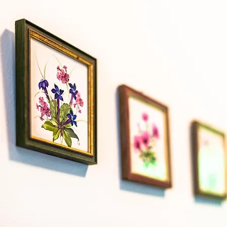 House Moose't Getaway, Ferienhaus *