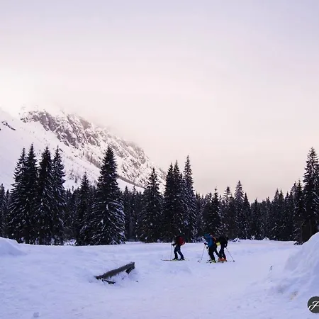 بيت للعطل House Moose't Getaway,