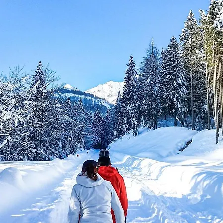 Hébergement de vacances House Moose't Getaway, *