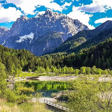 بيت للعطل House Moose't Getaway, كْرانْيِسكا غورا