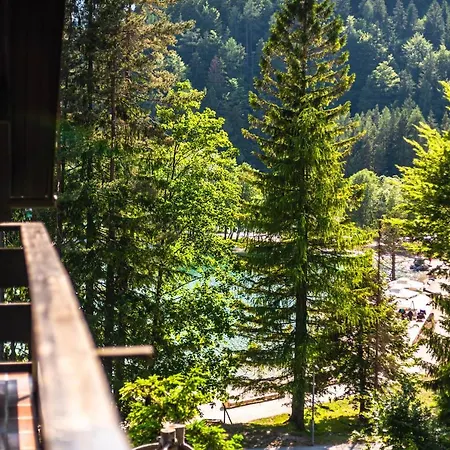 House Moose't Getaway, * Kranjska Gora