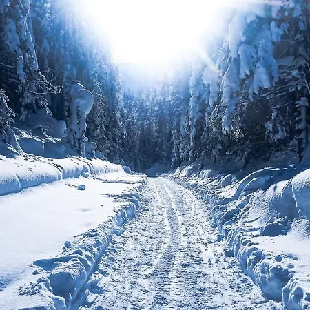 Holiday home House Moose't Getaway, Kranjska Gora