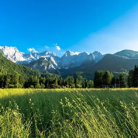 House Moose't Getaway, بيت للعطل