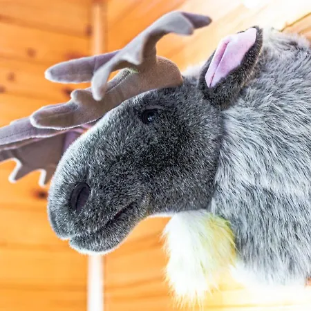 House Moose't Getaway, Hébergement de vacances *