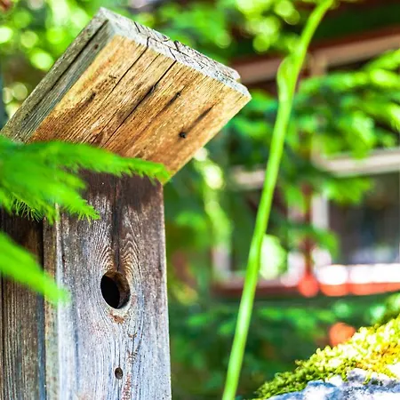 Holiday home House Moose't Getaway,