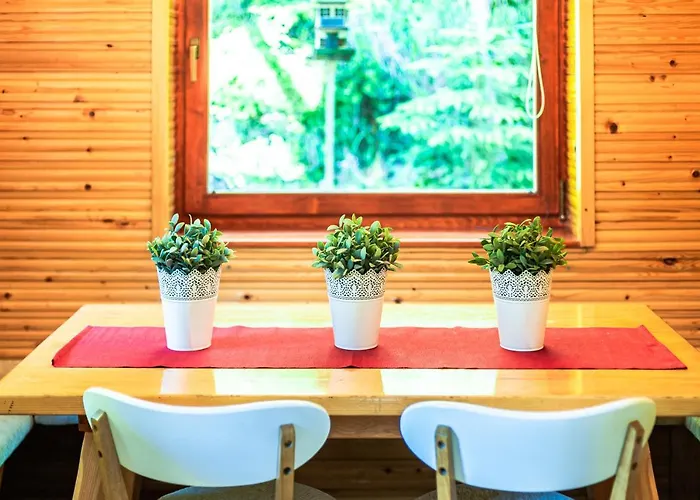 House Moose't Getaway, Prázdninový dům