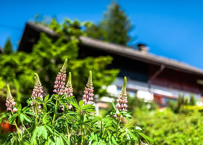 House Moose't Getaway, Prázdninový dům Kranjska Gora