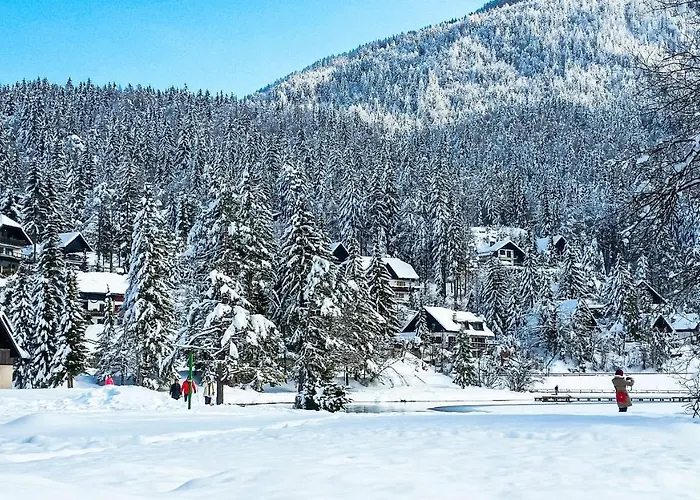 Prázdninový dům House Moose't Getaway, *