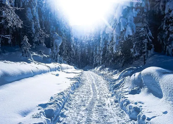 Prázdninový dům House Moose't Getaway, Kranjska Gora