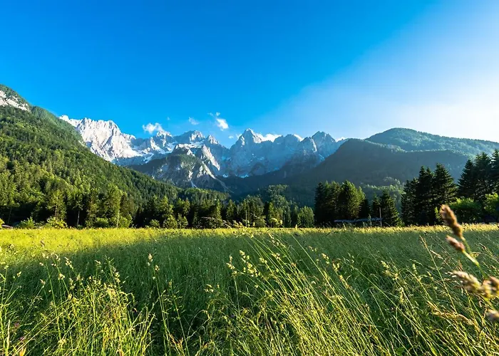 House Moose't Getaway, Prázdninový dům