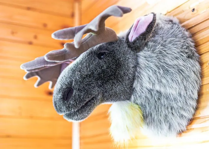 House Moose't Getaway, Prázdninový dům *