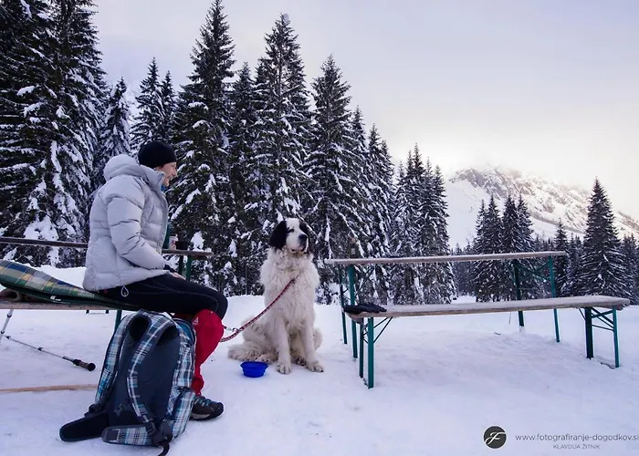 House Moose't Getaway, *