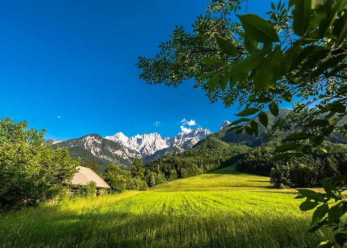 House Moose't Getaway, *