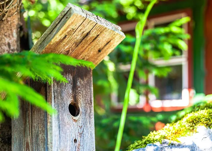 Σπίτι διακοπών House Moose't Getaway,